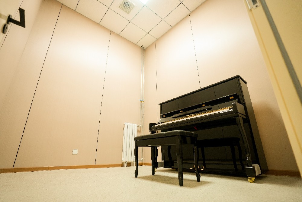 天津市弘博职业学校-琴房